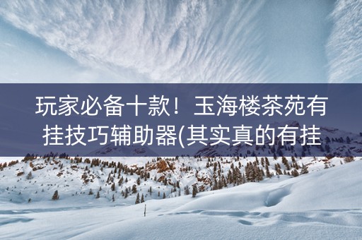 玩家必备十款！玉海楼茶苑有挂技巧辅助器(其实真的有挂)