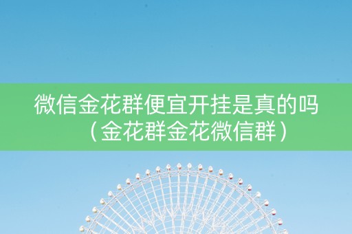 微信金花群便宜开挂是真的吗（金花群金花微信群）