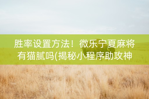 胜率设置方法！微乐宁夏麻将有猫腻吗(揭秘小程序助攻神器)