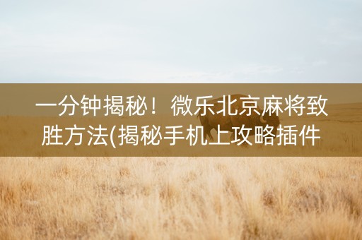 一分钟揭秘！微乐北京麻将致胜方法(揭秘手机上攻略插件)