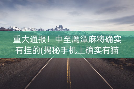重大通报！中至鹰潭麻将确实有挂的(揭秘手机上确实有猫腻)