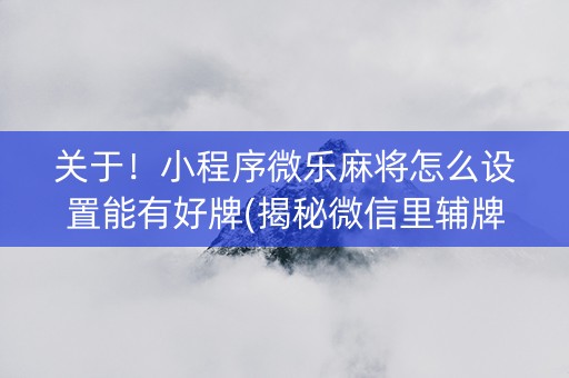 关于！小程序微乐麻将怎么设置能有好牌(揭秘微信里辅牌器)