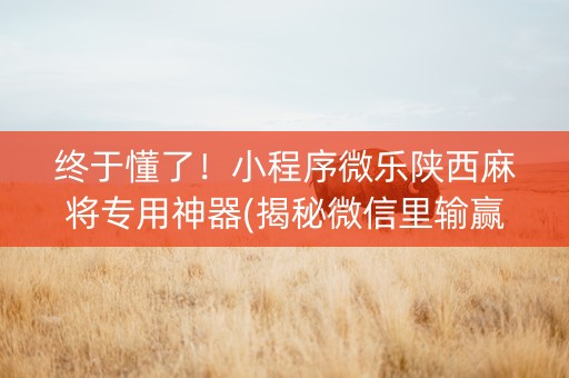 终于懂了！小程序微乐陕西麻将专用神器(揭秘微信里输赢规律)