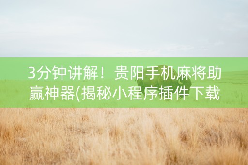 3分钟讲解！贵阳手机麻将助赢神器(揭秘小程序插件下载)