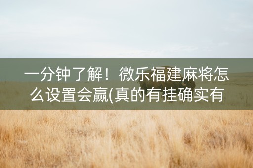 一分钟了解！微乐福建麻将怎么设置会赢(真的有挂确实有挂)