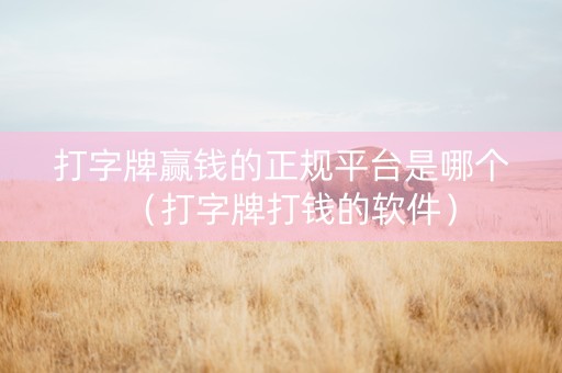 打字牌赢钱的正规平台是哪个（打字牌打钱的软件）