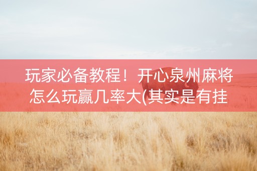玩家必备教程！开心泉州麻将怎么玩赢几率大(其实是有挂确实有挂)