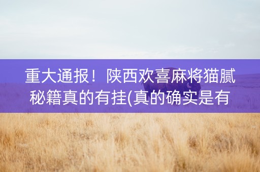 重大通报！陕西欢喜麻将猫腻秘籍真的有挂(真的确实是有挂)