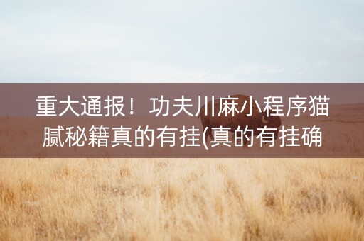 重大通报！功夫川麻小程序猫腻秘籍真的有挂(真的有挂确实有挂)