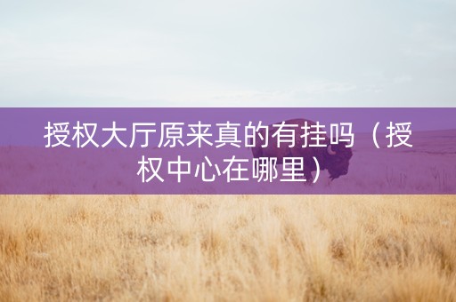 授权大厅原来真的有挂吗（授权中心在哪里）