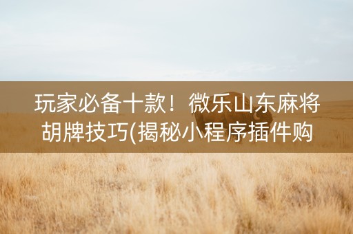 玩家必备十款！微乐山东麻将胡牌技巧(揭秘小程序插件购买)
