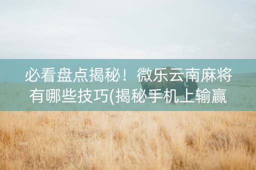 必看盘点揭秘！微乐云南麻将有哪些技巧(揭秘手机上输赢规律)