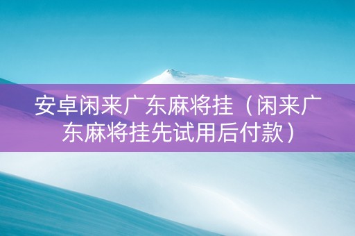 安卓闲来广东麻将挂（闲来广东麻将挂先试用后付款）