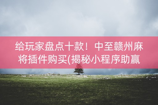 给玩家盘点十款！中至赣州麻将插件购买(揭秘小程序助赢软件)