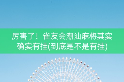 厉害了！雀友会潮汕麻将其实确实有挂(到底是不是有挂)