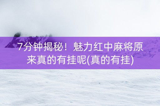7分钟揭秘！魅力红中麻将原来真的有挂呢(真的有挂)