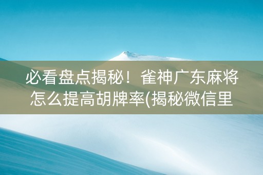 必看盘点揭秘！雀神广东麻将怎么提高胡牌率(揭秘微信里插件购买)