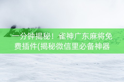 一分钟揭秘！雀神广东麻将免费插件(揭秘微信里必备神器)