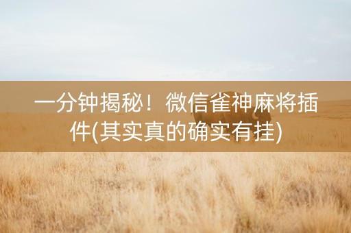 一分钟揭秘！微信雀神麻将插件(其实真的确实有挂)