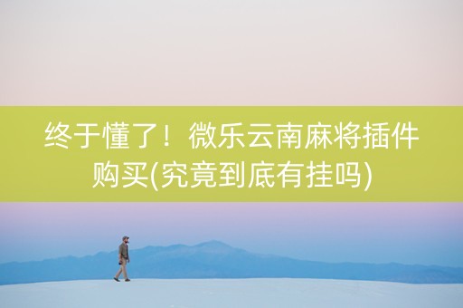 终于懂了！微乐云南麻将插件购买(究竟到底有挂吗)