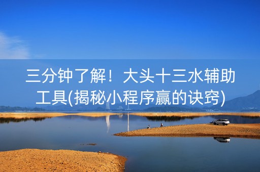 三分钟了解！大头十三水辅助工具(揭秘小程序赢的诀窍)