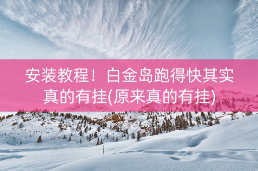 安装教程！白金岛跑得快其实真的有挂(原来真的有挂)