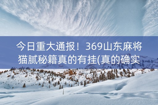 今日重大通报！369山东麻将猫腻秘籍真的有挂(真的确实是有挂)