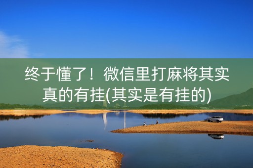 终于懂了！微信里打麻将其实真的有挂(其实是有挂的)
