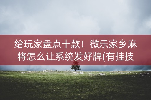 给玩家盘点十款！微乐家乡麻将怎么让系统发好牌(有挂技巧辅助器)