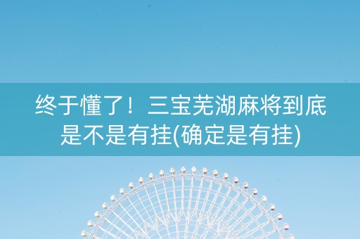 终于懂了！三宝芜湖麻将到底是不是有挂(确定是有挂)