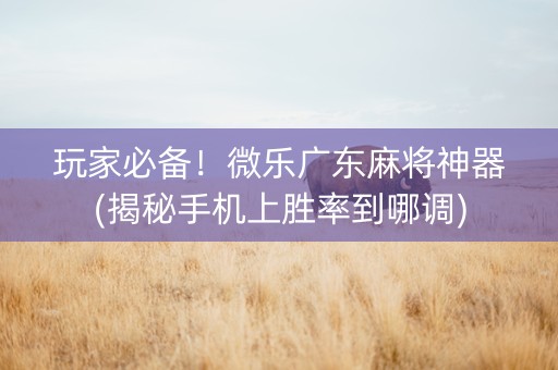 玩家必备！微乐广东麻将神器(揭秘手机上胜率到哪调)