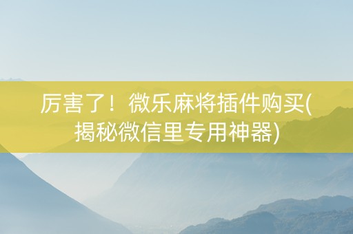 厉害了！微乐麻将插件购买(揭秘微信里专用神器)