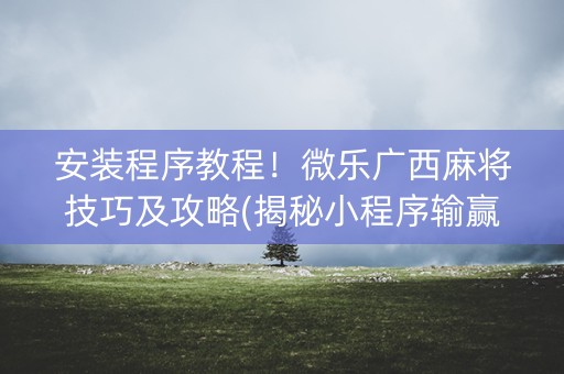 安装程序教程！微乐广西麻将技巧及攻略(揭秘小程序输赢技巧)