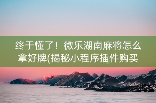 终于懂了！微乐湖南麻将怎么拿好牌(揭秘小程序插件购买)