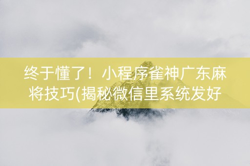 终于懂了！小程序雀神广东麻将技巧(揭秘微信里系统发好牌)