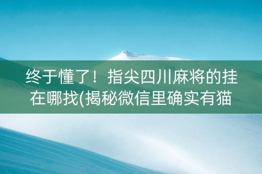 终于懂了！指尖四川麻将的挂在哪找(揭秘微信里确实有猫腻)