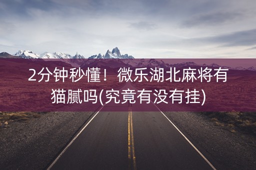 2分钟秒懂！微乐湖北麻将有猫腻吗(究竟有没有挂)