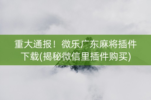 重大通报！微乐广东麻将插件下载(揭秘微信里插件购买)