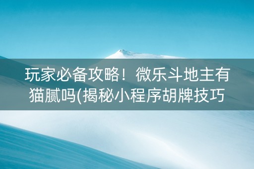 玩家必备攻略！微乐斗地主有猫腻吗(揭秘小程序胡牌技巧)