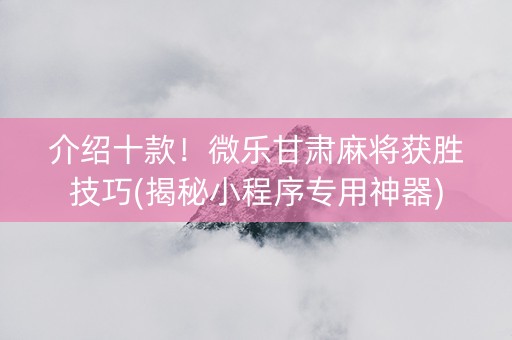 介绍十款！微乐甘肃麻将获胜技巧(揭秘小程序专用神器)