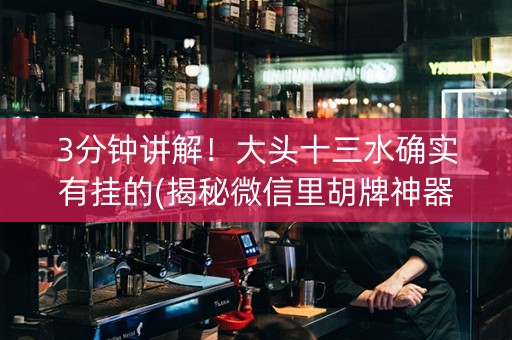 3分钟讲解！大头十三水确实有挂的(揭秘微信里胡牌神器)