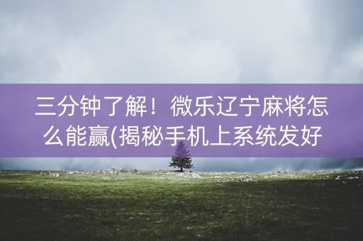 三分钟了解！微乐辽宁麻将怎么能赢(揭秘手机上系统发好牌)