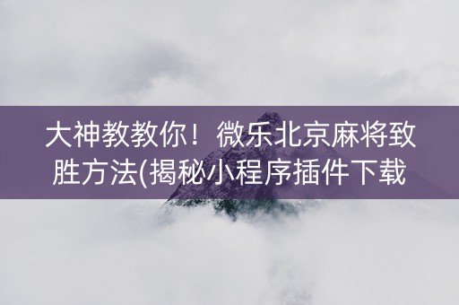 大神教教你！微乐北京麻将致胜方法(揭秘小程序插件下载)
