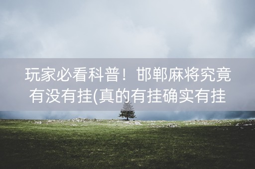 玩家必看科普！邯郸麻将究竟有没有挂(真的有挂确实有挂)
