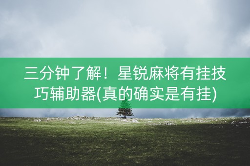 三分钟了解！星锐麻将有挂技巧辅助器(真的确实是有挂)
