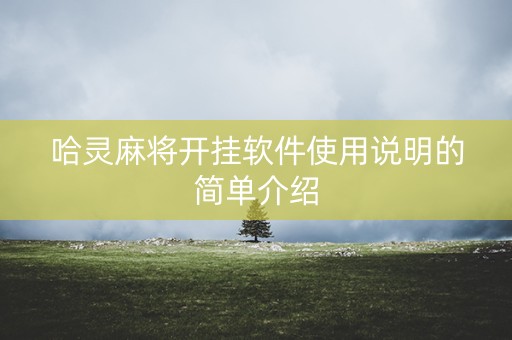 哈灵麻将开挂软件使用说明的简单介绍