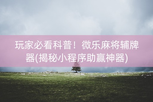 玩家必看科普！微乐麻将辅牌器(揭秘小程序助赢神器)