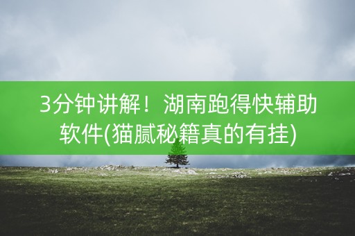 3分钟讲解！湖南跑得快辅助软件(猫腻秘籍真的有挂)