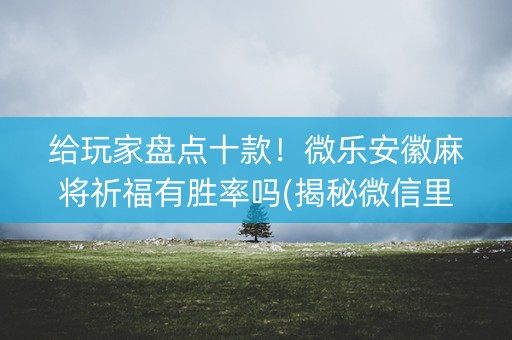 给玩家盘点十款！微乐安徽麻将祈福有胜率吗(揭秘微信里赢的诀窍)
