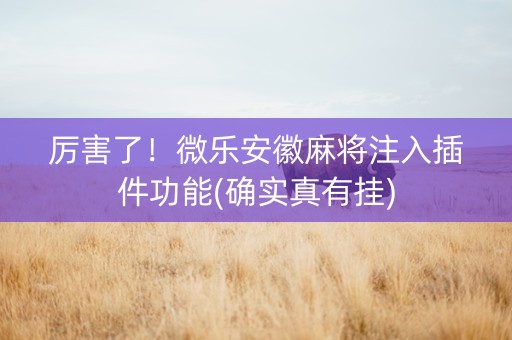 厉害了！微乐安徽麻将注入插件功能(确实真有挂)